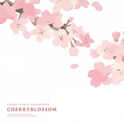 PSD 분홍색 꽃백그라운드 일러스트 수채화 사람없음 벚꽃 나뭇가지 감성 카피스페이스 봄배경 국내일러스트 나무 꽃 컬러 백그라운드 컨셉 봄 공백 파일형식