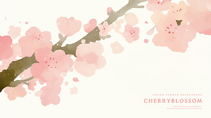 PSD 분홍색 꽃백그라운드 일러스트 수채화 사람없음 벚꽃 나뭇가지 감성 카피스페이스 봄배경 국내일러스트 나무 꽃 컬러 백그라운드 컨셉 봄 공백 파일형식