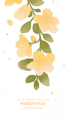 PSD 잎 일러스트 수채화 사람없음 노란색 봄 개나리 국내일러스트 식물 계절 꽃 컬러 파일형식