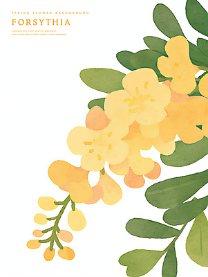 PSD 잎 일러스트 수채화 사람없음 노란색 봄 개나리 국내일러스트 식물 계절 꽃 컬러 파일형식