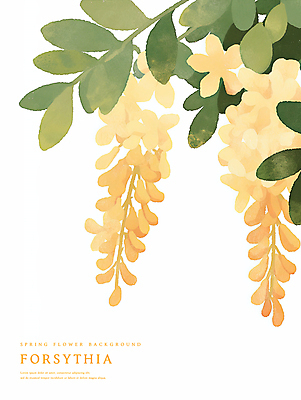 PSD 잎 일러스트 수채화 사람없음 노란색 봄 개나리 국내일러스트 식물 계절 꽃 컬러 파일형식