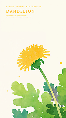 PSD 일러스트 수채화 사람없음 노란색 봄 풀 민들레 감성 국내일러스트 식물 계절 꽃 컬러 컨셉 파일형식