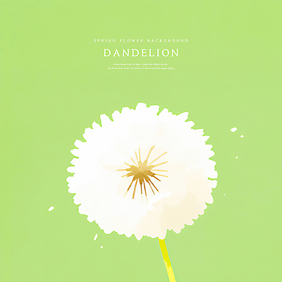 PSD 일러스트 수채화 사람없음 초록색 봄 감성 민들레홀씨 국내일러스트 계절 컬러 컨셉 민들레 파일형식