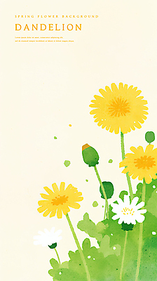 PSD 일러스트 수채화 사람없음 노란색 봄 풀 민들레 꽃봉오리 감성 국내일러스트 식물 계절 꽃 컬러 컨셉 파일형식
