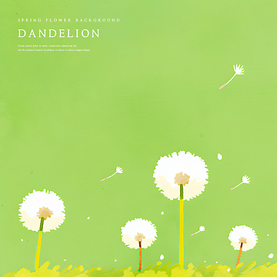 PSD 일러스트 수채화 초원 사람없음 초록색 봄 풀 감성 민들레홀씨 국내일러스트 식물 계절 컬러 컨셉 민들레 파일형식