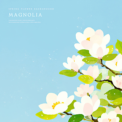 PSD 하늘색 꽃백그라운드 일러스트 봄꽃 자연 나뭇잎 수채화 사람없음 나뭇가지 감성 목련 국내일러스트 나무 꽃 백그라운드 컨셉 잎 파란색 봄 생태계 파일형식