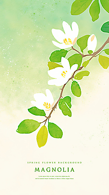 PSD 꽃백그라운드 일러스트 봄꽃 자연 나뭇잎 수채화 사람없음 연두색 나뭇가지 감성 그라데이션 목련 국내일러스트 나무 꽃 백그라운드 컨셉 잎 초록색 봄 생태계 파일형식