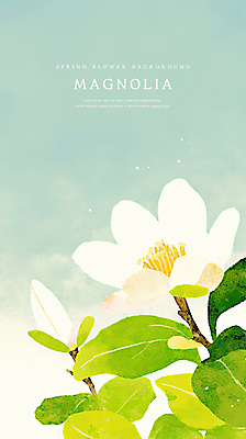 PSD 꽃백그라운드 일러스트 봄꽃 자연 나뭇잎 수채화 사람없음 나뭇가지 감성 목련 민트색 국내일러스트 나무 꽃 컬러 백그라운드 컨셉 잎 봄 생태계 파일형식