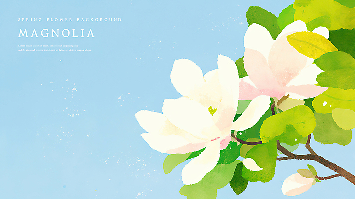 PSD 하늘색 꽃백그라운드 일러스트 봄꽃 자연 나뭇잎 수채화 사람없음 감성 목련 국내일러스트 꽃 백그라운드 컨셉 잎 파란색 봄 생태계 파일형식