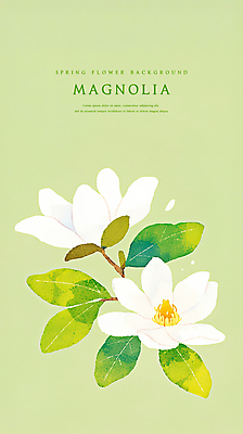 PSD 꽃백그라운드 일러스트 봄꽃 자연 나뭇잎 수채화 사람없음 연두색 감성 목련 국내일러스트 꽃 백그라운드 컨셉 잎 초록색 봄 생태계 파일형식