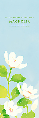 PSD 하늘색 꽃백그라운드 일러스트 봄꽃 자연 나뭇잎 수채화 사람없음 감성 목련 국내일러스트 꽃 백그라운드 컨셉 잎 파란색 봄 생태계 파일형식