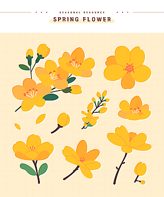 꽃잎 스티커 잎 일러스트 봄꽃 사람없음 노란색 나뭇가지 엘리먼트 국내일러스트 AI파일 나무 식물 꽃 컬러 봄 파일형식 벡터