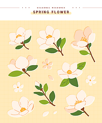 스티커 잎 일러스트 봄꽃 사람없음 노란색 목련 엘리먼트 연노랑색 국내일러스트 AI파일 식물 꽃 컬러 봄 파일형식 벡터