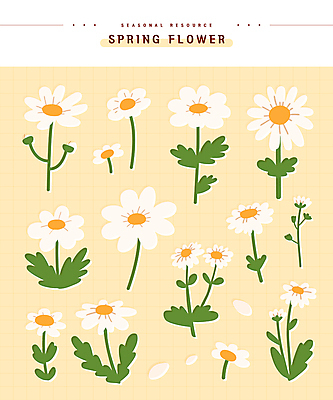 스티커 잎 일러스트 봄꽃 사람없음 데이지 엘리먼트 연노랑색 국내일러스트 AI파일 식물 꽃 노란색 봄 파일형식 벡터