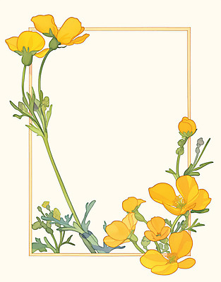 PSD 백그라운드 잎 일러스트 봄꽃 사각프레임 사람없음 노란색 빈티지 꽃프레임 카피스페이스 국내일러스트 식물 꽃 컬러 컨셉 프레임 사각형 봄 공백 파일형식