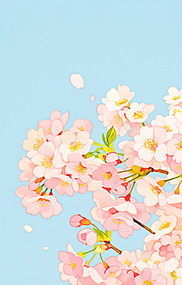 JPG 꽃잎 하늘색 잎 일러스트 사람없음 봄풍경 나뭇가지 벚나무 국내일러스트 AI일러스트 AI콘텐츠 나무 식물 꽃 풍경 파란색 봄 벚꽃 파일형식