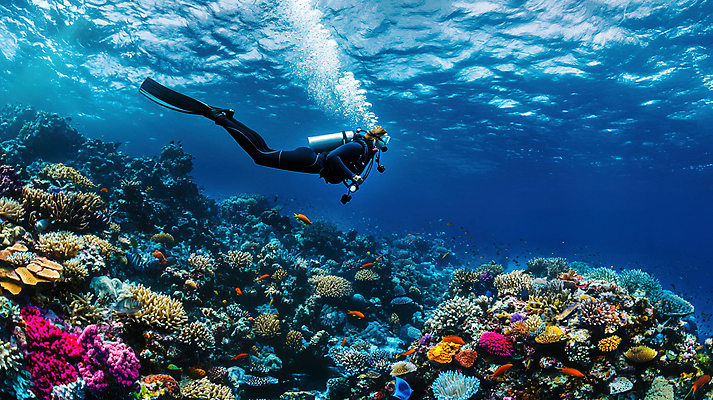 JPG 편집이미지 바다 한명 성인 심해 수영 체험 산호초 오리발 스쿠버다이빙 물거품 산소호흡기 성인한명만 편집실사 AI인물포토 AI콘텐츠 1 컨셉 사람 바닷속 거품 수상스포츠 수중식물 CG 성인만 파일형식 AI포토