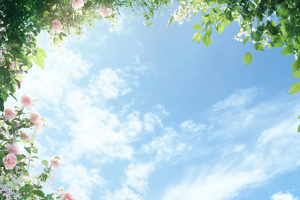 JPG 나무 구름 편집이미지 봄꽃 자연 하늘 휴식 풍경 사람없음 힐링 편집실사 AI포토 AI콘텐츠 자연요소 식물 꽃 컨셉 봄 CG 생태계 파일형식