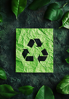 JPG 편집이미지 종이 나뭇잎 잔디 사람없음 초록색 자연보호 재활용 심볼 에코 친환경 질감 재활용표시 편집실사 AI컴퓨터그래픽 AI콘텐츠 식물 컬러 잎 자연 표시 환경 보호 CG 파일형식