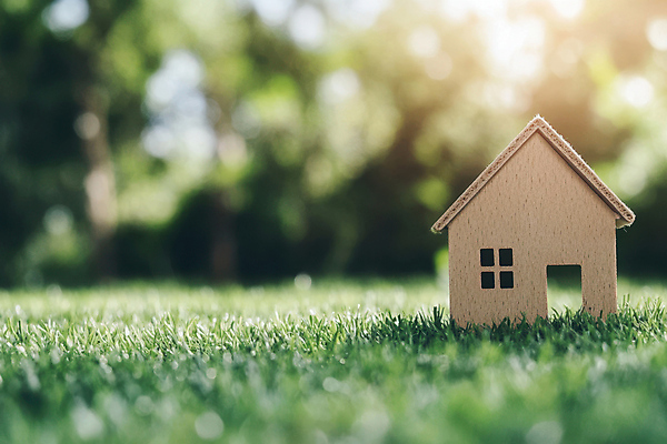 JPG 나무 편집이미지 잔디 사람없음 초록색 햇빛 자연보호 재활용 숲 에코 친환경 집모양 편집실사 AI포토 AI콘텐츠 모양 식물 컬러 자연 태양 환경 보호 CG 파일형식