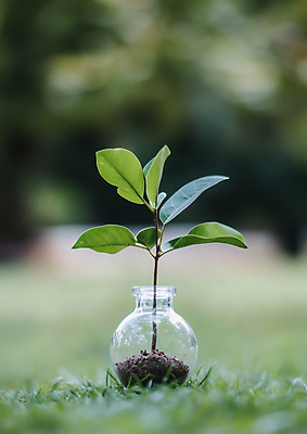 JPG 나무 편집이미지 화분 유리병 잔디 사람없음 초록색 자연보호 재활용 에코 친환경 편집실사 AI포토 AI콘텐츠 식물 컬러 자연 병_용기 환경 보호 CG 파일형식