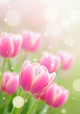JPG 편집이미지 분홍색 백그라운드 봄꽃 사람없음 반짝임 튤립 풀잎 그라데이션 봄향기 편집실사 AI컴퓨터그래픽 AI콘텐츠 꽃 컬러 잎 모션 봄 풀_식물 CG 파일형식