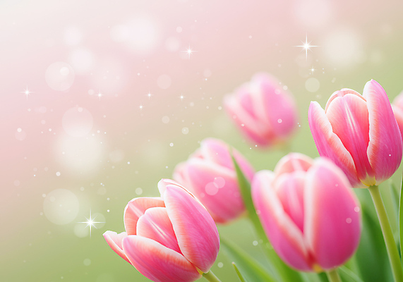 JPG 편집이미지 분홍색 백그라운드 봄꽃 사람없음 반짝임 튤립 풀잎 그라데이션 봄향기 편집실사 AI컴퓨터그래픽 AI콘텐츠 꽃 컬러 잎 모션 봄 풀_식물 CG 파일형식