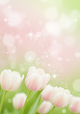 JPG 편집이미지 백그라운드 봄꽃 사람없음 반짝임 튤립 풀잎 그라데이션 봄향기 편집실사 AI컴퓨터그래픽 AI콘텐츠 꽃 잎 모션 봄 풀_식물 CG 파일형식