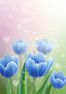 JPG 편집이미지 백그라운드 봄꽃 사람없음 반짝임 튤립 풀잎 그라데이션 봄향기 편집실사 AI컴퓨터그래픽 AI콘텐츠 꽃 잎 모션 봄 풀_식물 CG 파일형식