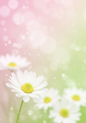 JPG 편집이미지 백그라운드 봄꽃 사람없음 반짝임 데이지 그라데이션 봄향기 편집실사 AI컴퓨터그래픽 AI콘텐츠 꽃 모션 봄 CG 파일형식