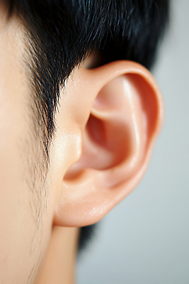 JPG 편집이미지 남자 한명 근접촬영 성인 신체부위 귀 의료성형뷰티 성인남자한명만 편집실사 AI인물포토 AI콘텐츠 1 뷰포인트 사람 CG 남자한명만 성인남자만 파일형식 AI포토