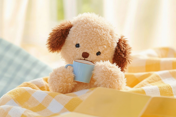 JPG 편집이미지 휴식 들기 사람없음 노란색 이불 머그컵 체크무늬 강아지인형 오후 편집실사 AI컴퓨터그래픽 AI콘텐츠 인형 컬러 컨셉 무늬 침구 모션 컵 CG 파일형식