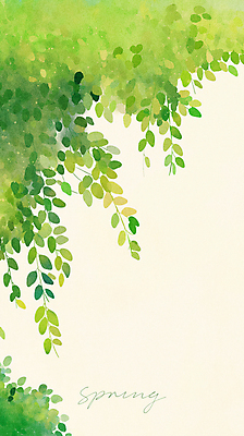 PSD 일러스트 나뭇잎 사람없음 초록색 평화 봄 풀 국내일러스트 식물 계절 컬러 컨셉 잎 파일형식