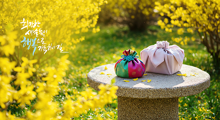 PSD 편집이미지 명절 꽃 근하신년 새해 기념 선물 사람없음 설날 봄 축하 보자기 개나리 디지털합성 새해선물 야외테이블 이미지편집 식물 전통 계절 기념일 컨셉 탁자 파일형식 천_직물 명절선물