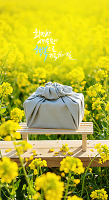 PSD 편집이미지 명절 꽃 꽃밭 벤치 근하신년 새해 기념 선물 사람없음 설날 봄 축하 보자기 디지털합성 새해선물 이미지편집 식물 전통 계절 기념일 컨셉 의자 파일형식 천_직물 명절선물