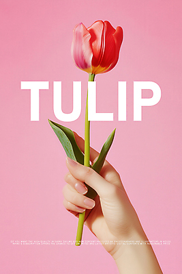 PSD 편집이미지 손 디자인 포스터 분홍색 잎 한송이 봄꽃 신체부위 튤립 잡기 이미지편집 식물 1 꽃 컬러 모션 사람 봄 송이 파일형식