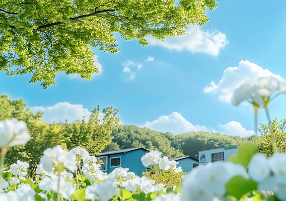 JPG 나무 구름 편집이미지 꽃 자연 하늘 주택 사람없음 초록색 봄풍경 토끼풀 싱그러움 편집실사 AI포토 AI콘텐츠 자연요소 식물 컬러 풍경 건물 봄 CG 생태계 파일형식