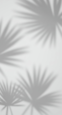 JPG 편집이미지 예술 흑백 그림자 사람없음 야자수잎 편집실사 AI포토 AI콘텐츠 잎 촬영기법 CG 파일형식