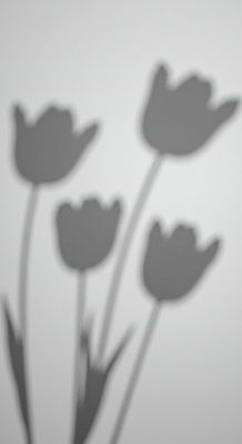 JPG 편집이미지 예술 흑백 그림자 사람없음 튤립 편집실사 AI포토 AI콘텐츠 꽃 촬영기법 CG 파일형식