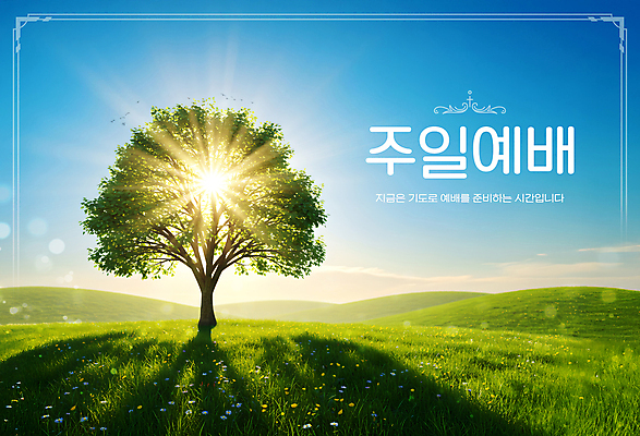 PSD 템플릿 기독교 하늘 한그루 그림자 초원 사람없음 햇빛 태양 교회 언덕 예배 주말 이미지템플릿 자연요소 나무 1 종교 종교건축 건물 파일형식