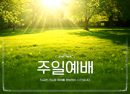 PSD 나무 템플릿 기독교 잔디 사람없음 햇빛 태양 교회 예배 주말 이미지템플릿 자연요소 식물 종교 종교건축 건물 파일형식