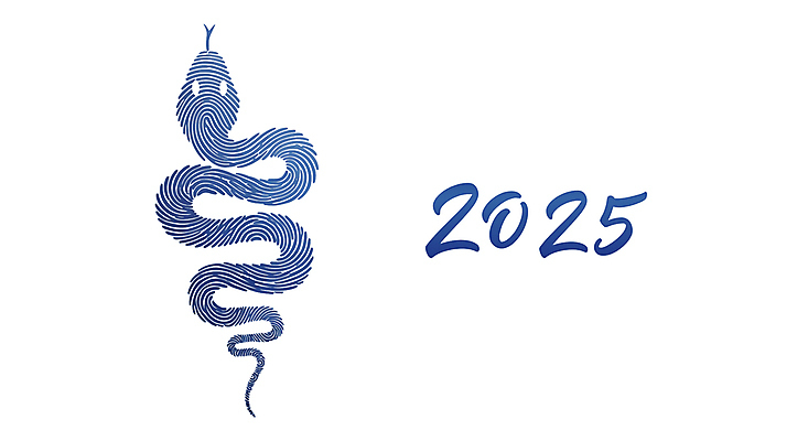 곡선 일러스트 새해 사람없음 파란색 엘리먼트 을사년 국내일러스트 푸른뱀 AI파일 선 컬러 뱀 파일형식 벡터 2025년