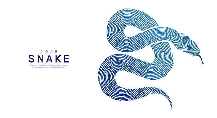 곡선 일러스트 새해 사람없음 파란색 엘리먼트 을사년 국내일러스트 푸른뱀 AI파일 선 컬러 뱀 파일형식 벡터 2025년