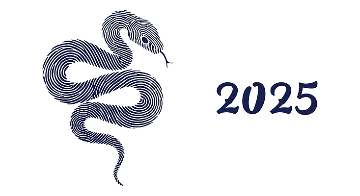 곡선 일러스트 새해 사람없음 파란색 엘리먼트 을사년 국내일러스트 푸른뱀 AI파일 선 컬러 뱀 파일형식 벡터 2025년