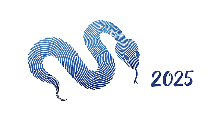 곡선 일러스트 새해 사람없음 파란색 엘리먼트 을사년 국내일러스트 푸른뱀 AI파일 선 컬러 뱀 파일형식 벡터 2025년