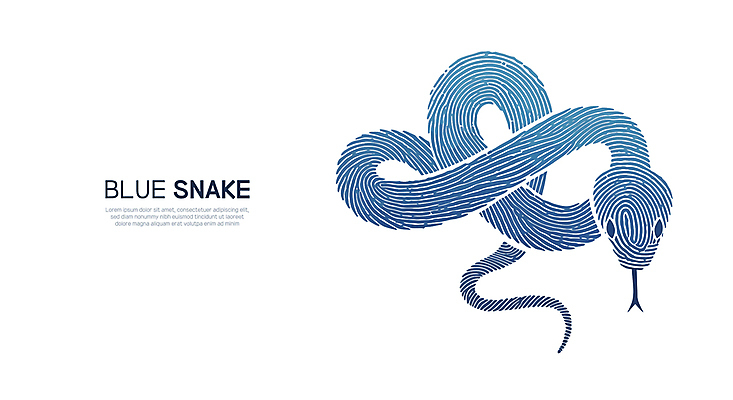 곡선 일러스트 새해 사람없음 파란색 엘리먼트 을사년 국내일러스트 푸른뱀 AI파일 선 컬러 뱀 파일형식 벡터 2025년