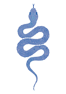 곡선 일러스트 새해 사람없음 파란색 엘리먼트 을사년 국내일러스트 푸른뱀 AI파일 선 컬러 뱀 파일형식 벡터 2025년