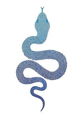 곡선 일러스트 새해 사람없음 파란색 엘리먼트 을사년 국내일러스트 푸른뱀 AI파일 선 컬러 뱀 파일형식 벡터 2025년