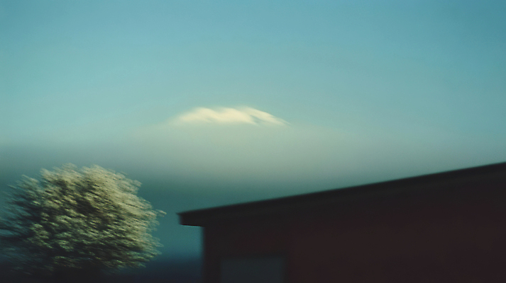 JPG 나무 편집이미지 하늘 주택 풍경 사람없음 필름 필름사진 편집실사 AI포토 AI콘텐츠 식물 건물 CG 파일형식