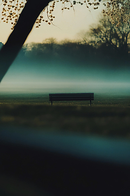 JPG 나무 편집이미지 공원 벤치 풍경 사람없음 안개 필름 필름사진 편집실사 AI포토 AI콘텐츠 식물 공공시설 의자 날씨 CG 파일형식